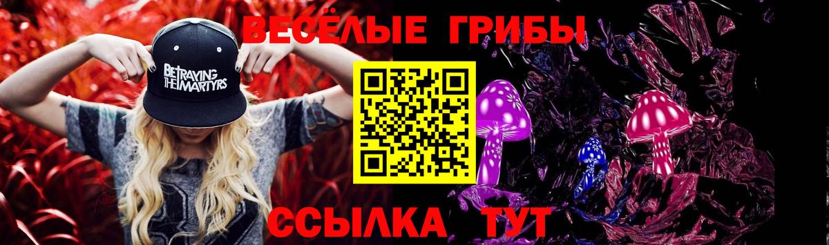 Галлюциногенные грибы мухоморы  Вход с VPN  Шатура 